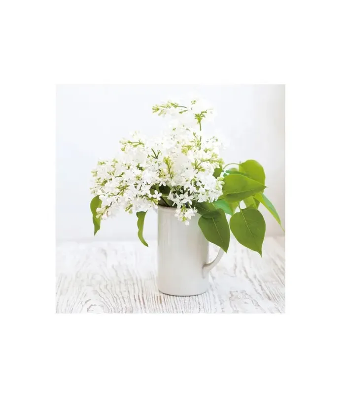 Set de 2 tableaux décoratifs photo Bouquets de Fleurs - 50x50cm